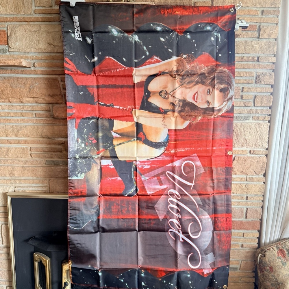 TNA Impact Wrestling Velvet Sky V-Series Banner Poster Flag Don West Collection